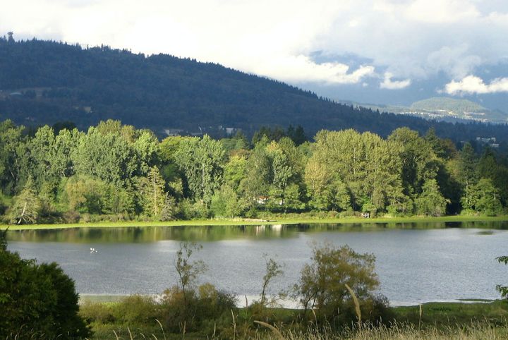 Everything You Need for an Outing at Deer Lake Park in Burnaby